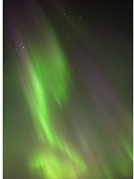 Northern Light