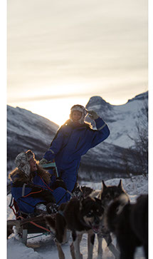 Dog sledding in the arctic