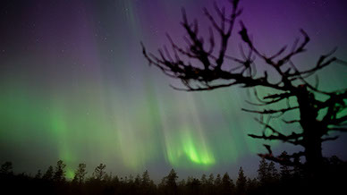 The northern lights just outside the Aurora Husky camp