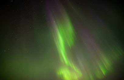 The northern lights dancing across the sky at the Aurora Husky camp