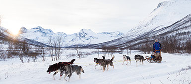 Dog sledding in Kjervelvdalen a two hours driv from Tromsø.