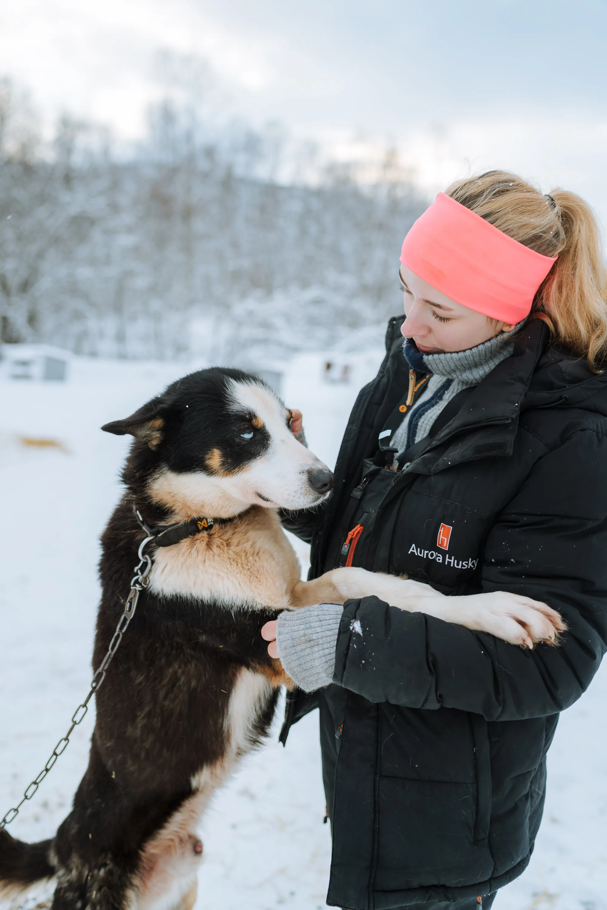 The Aurora Husky team with their dogs in the Arctic wilderness